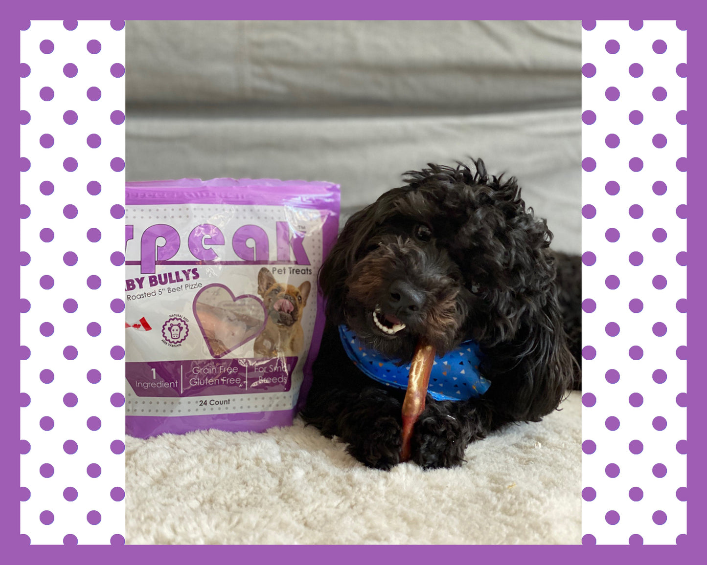 *Speak's Best Sellers* - Chicken Free Variety Pack