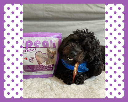 *Speak's Best Sellers* - Chicken Free Variety Pack