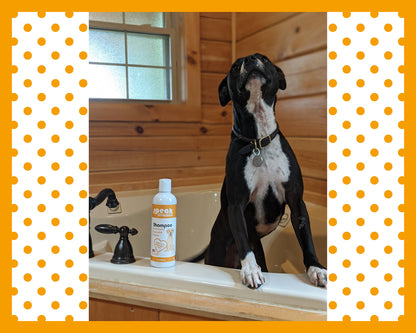 Moisturizing Coconut & Papaya Shampoo